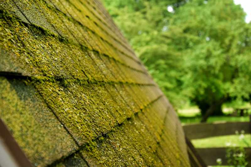 Problemy ze starym pokryciem dachowym – jak sobie radzic w zalezności od rodzaju